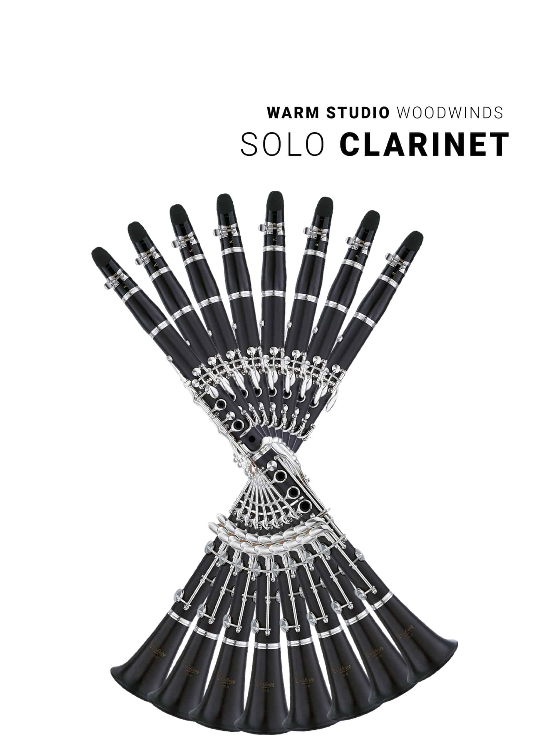 Solo Clarinet - Warm Studio Woodwinds - The Next Evolution of 8Dio's Woodwind Ensembles 36 WarmStudioWoodwindsSoloClarinet scaled