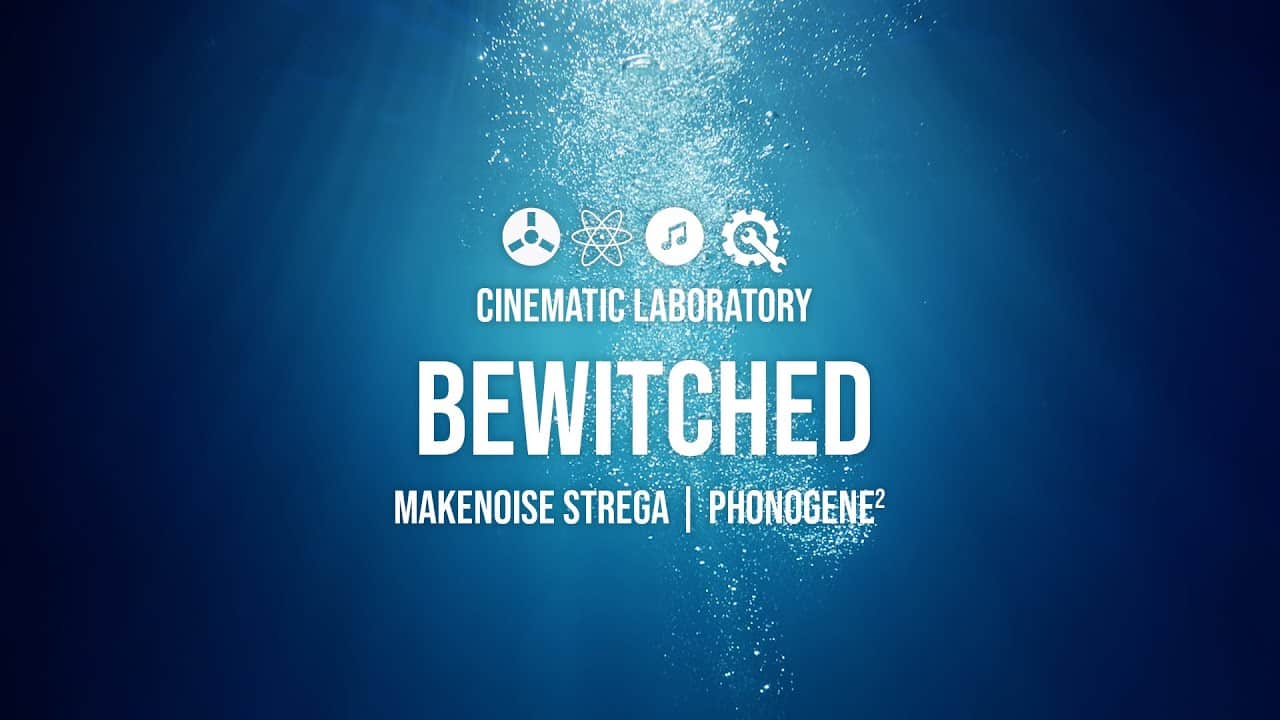 Bewitched | Make Noise Strega + Phonogene * 2