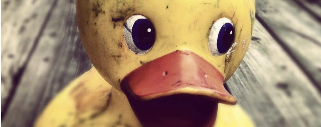 Review of Omen - A Kontakt Library Based on Ritual Voices and Epic War Chants 15 Rubber Duck on Table
