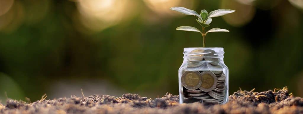 Small Plants That Grow Bottle Money Coins on Soil Business