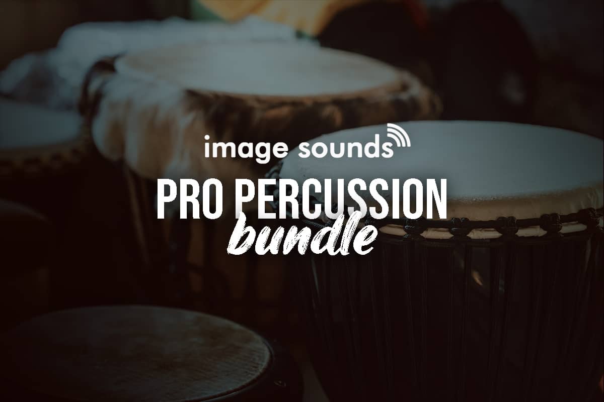 Massive, Huge Bundle of 40 Instruments with 17000 Loops 31 PRO PERCUSSION BUNDLE BLOG IMAGE CLICKED