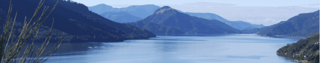 What Does It Mean to Say Field Recordings Capture Ambient Sounds? 7 Kenepuru Sound Marlborough Sounds