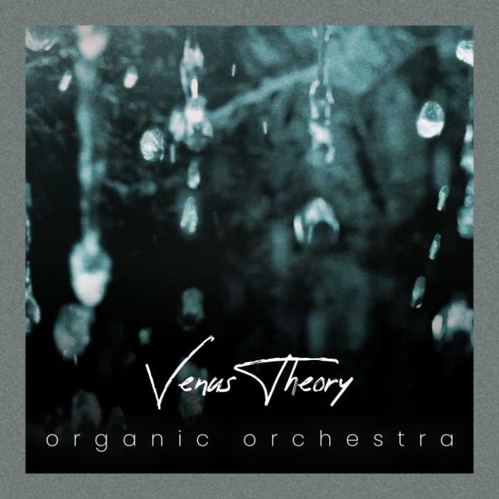 Organic Orchestra by Venus Theory: A Unique Instrument Featuring the Sounds of Tuned Organic Textures