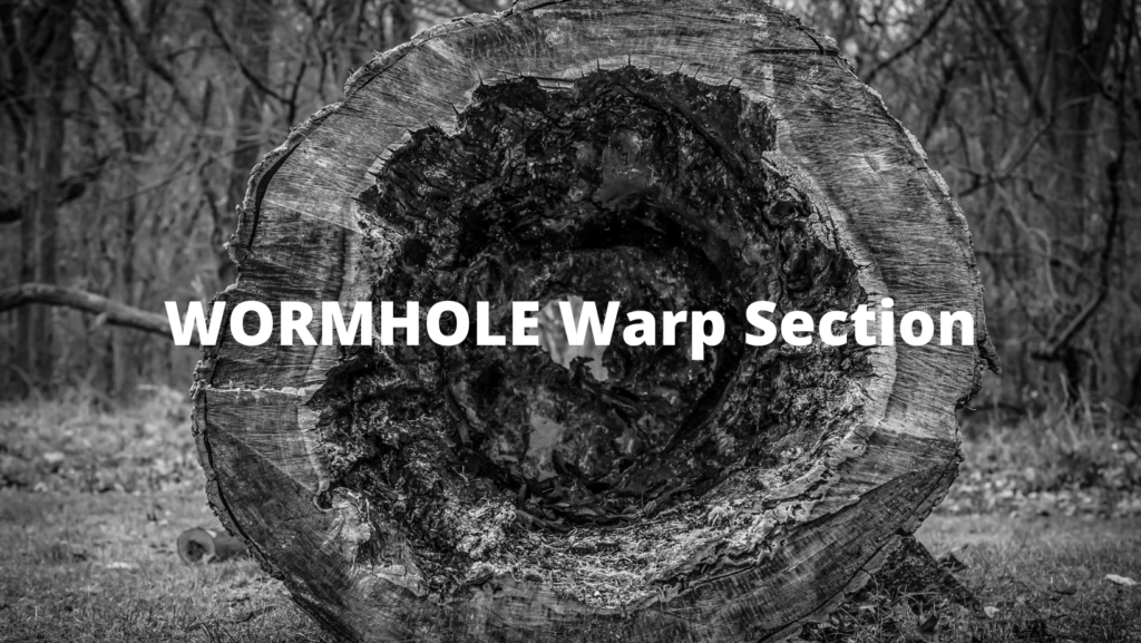 WORMHOLE Warp Section