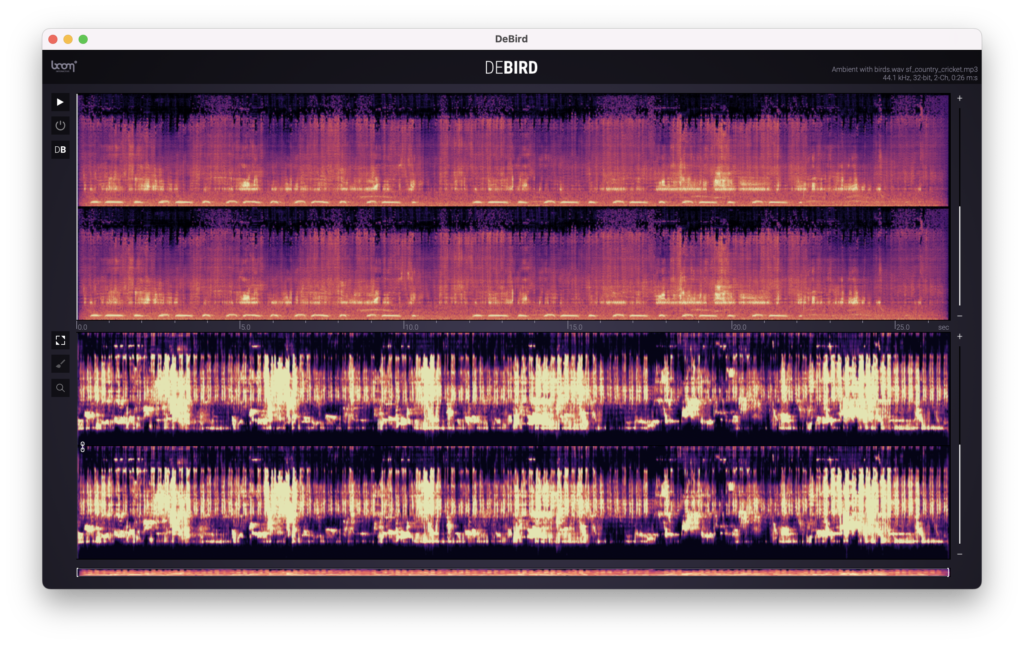 Ambient with birds