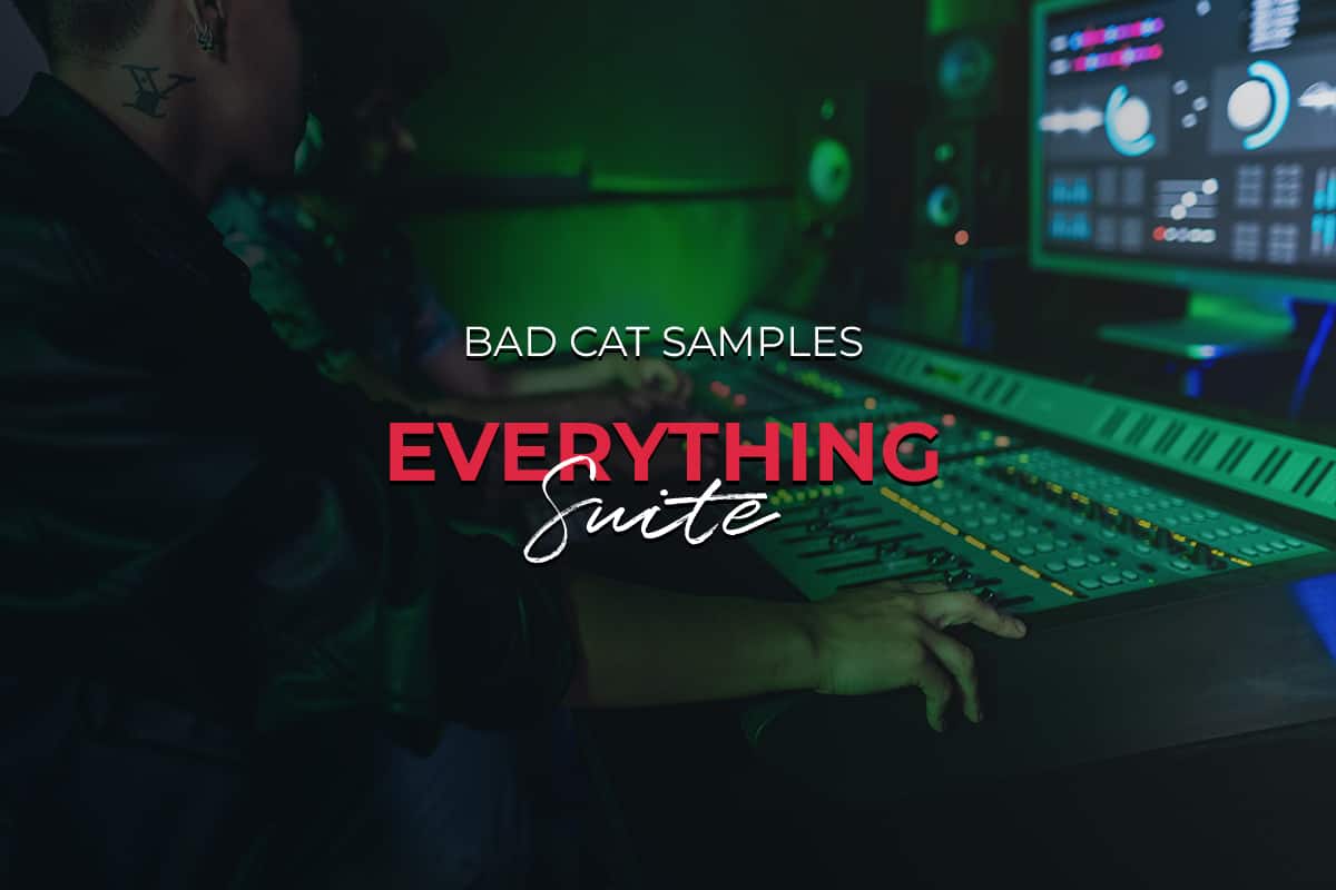 Everything Suite by Bad Cat Samples