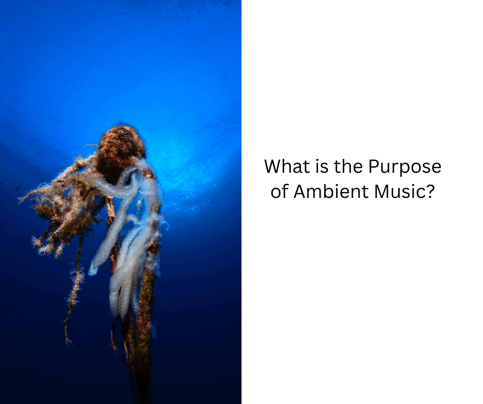 What is the Purpose of Ambient Music