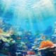 thorstenmeyer Create an image capturing the essence of marine w 566dcda8 2228 4f0e 9e4d 429fd654c6f3 IP394757