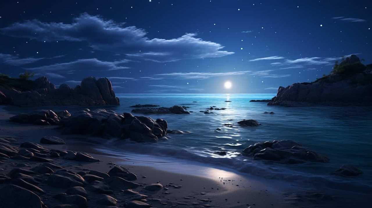 ocean noise pollution