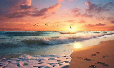 thorstenmeyer Create an image depicting a serene beach at sunse ae88e3e8 559e 47ff 92c7 fdc9d2284dbf IP394957 3