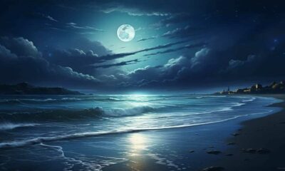 thorstenmeyer Create an image that showcases a moonlit beach at 8f1c398b 85f7 48bc a2d5 537d2d6b1c8e IP394932 4